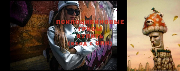 мяу мяу мука Аркадак