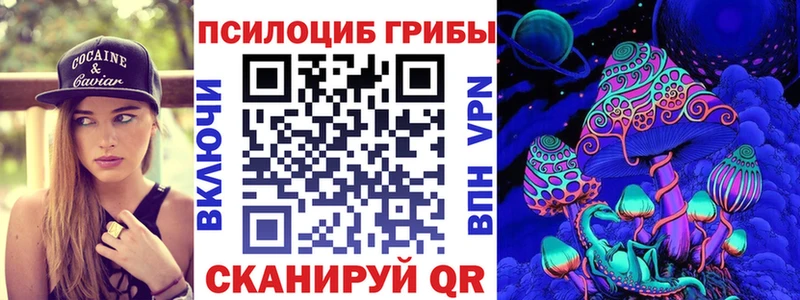 Псилоцибиновые грибы Psilocybine cubensis закладки Покров